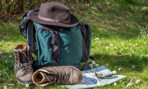 Öffentliche Veranstaltungen Nationalpark- und Forstverwaltung APRIL 2026