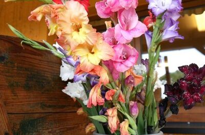 Blumen und Obst selbst pflücken beim Obstbau Rüdiger