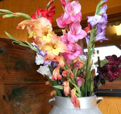 Blumen und Obst selbst pflücken beim Obstbau Rüdiger