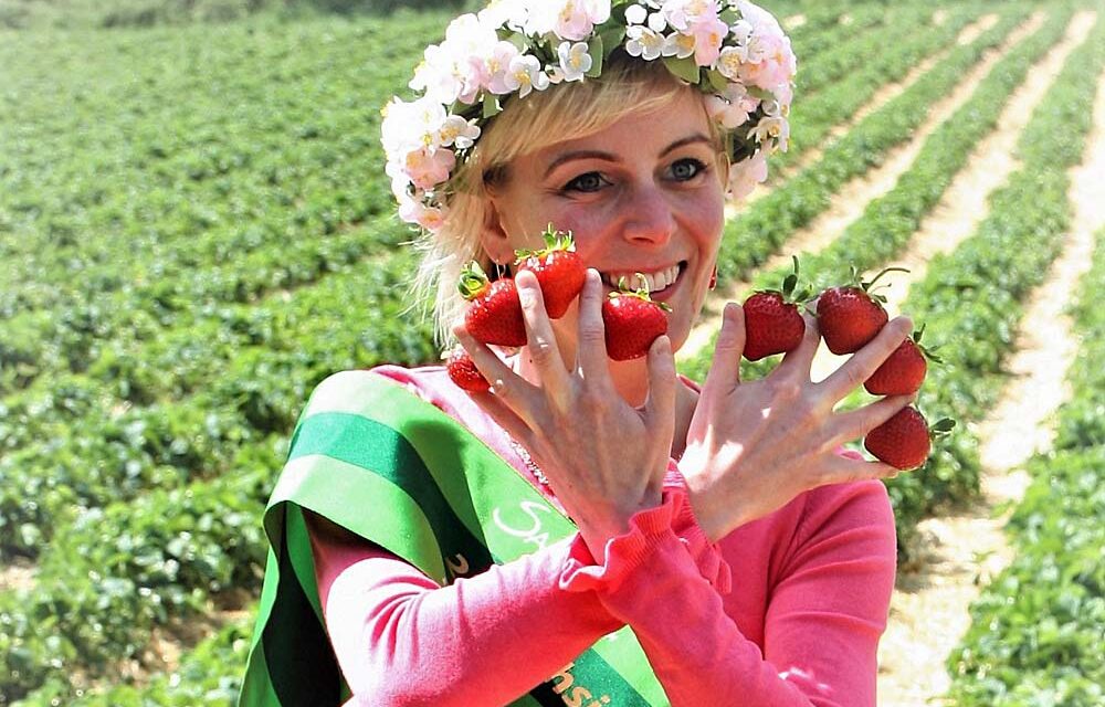 Erdbeeren und Blumen – Selbstpflücke beim Obstbau Rüdiger