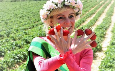 Erdbeeren und Blumen – Selbstpflücke beim Obstbau Rüdiger