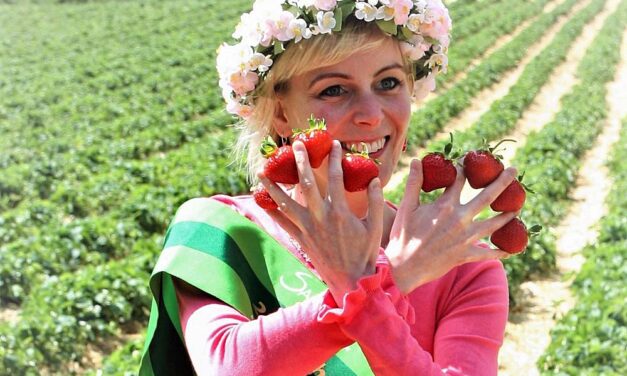 Erdbeeren und Blumen – Selbstpflücke beim Obstbau Rüdiger