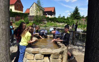 Kindergeburtstag in der Kleinen Sächsischen Schweiz