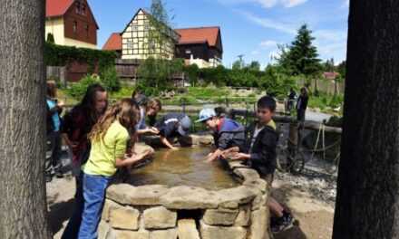 Kindergeburtstag in der Kleinen Sächsischen Schweiz