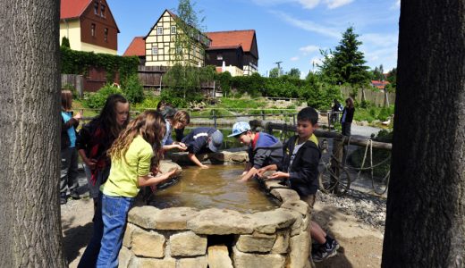 Kindergeburtstag in der Kleinen Sächsischen Schweiz