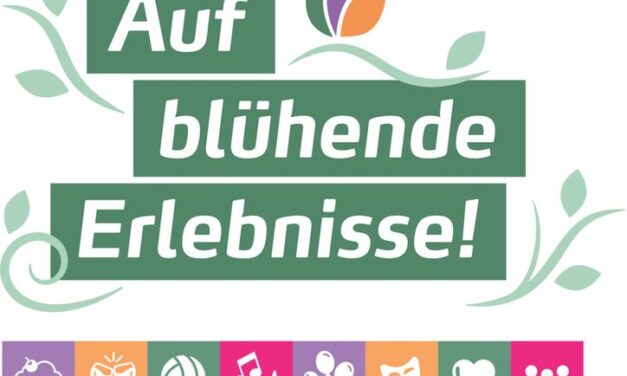 Tag der Sachsen 2025 in Sebnitz /Sa.