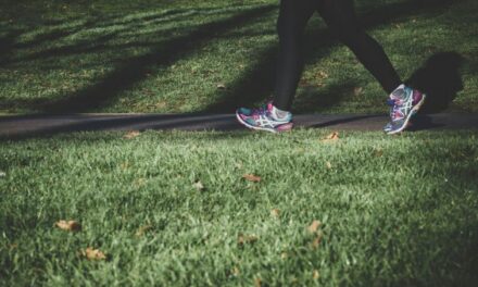 Ladieswalk in Kreischa eine Initiative vom „Pilgrims Inn“ …