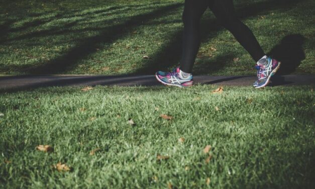 Ladieswalk in Kreischa eine Initiative vom „Pilgrims Inn“ …