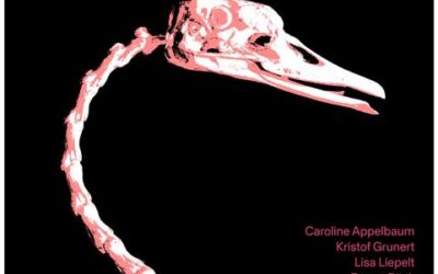 Adebars Anatomie: Dresdner Kunst-Nachwuchs zeigt Schwanenskelett …