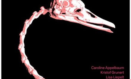 Adebars Anatomie: Dresdner Kunst-Nachwuchs zeigt Schwanenskelett …