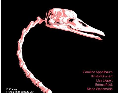 Adebars Anatomie: Dresdner Kunst-Nachwuchs zeigt Schwanenskelett …