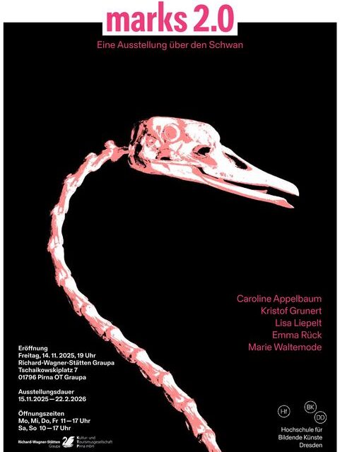 Adebars Anatomie: Dresdner Kunst-Nachwuchs zeigt Schwanenskelett …