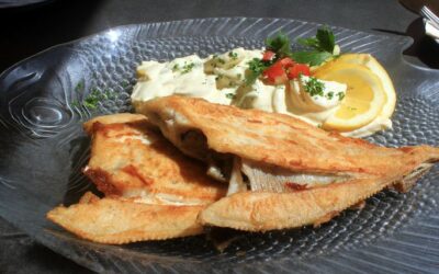 Spezialitäten-Karten und Events im Gasthof Maxen