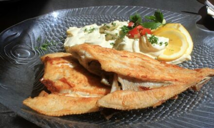 Spezialitäten-Karten und Events im Gasthof Maxen