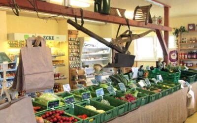 Frische Angebote beim Obstbau Rüdiger