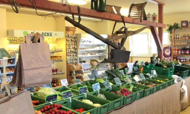 Frische Angebote beim Obstbau Rüdiger