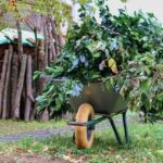 pixabay manfredrichter-wheelbarrows-4518854_640