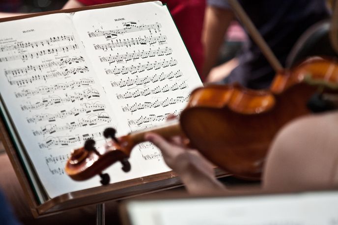 Violine_Marius Leicht-11