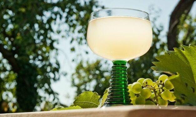 Spezialitäten-Karten und Events im Gasthof Maxen